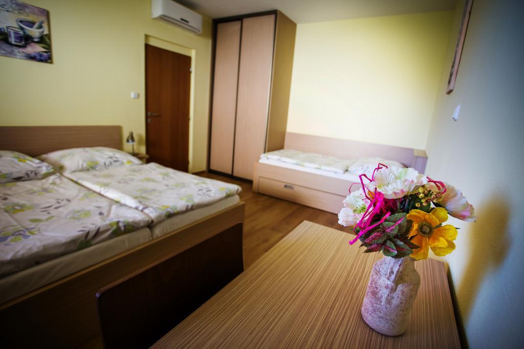 Vendelin Apartmany ボイニツェ エクステリア 写真